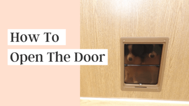 How to Open The Door
